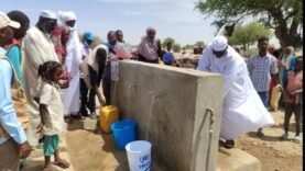 Ouaddaï : Découverte Révolutionnaire d&rsquo;un Point d&rsquo;Eau Solaire Autonome pour Transformer la Vie des Réfugiés à Abougoudam