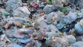Tchad : N’Djamena Renforce la Lutte Contre les Plastiques Non Biodégradables : Mesures Essentielles à Connaître Aujourd’hui