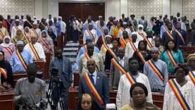 Tchad : Restitution des passeports diplomatiques par les ex-conseillers nationaux – Mise à jour et enjeux clés aujourd&rsquo;hui