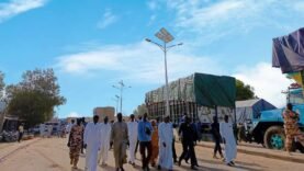 Éclairage Écologique : Comment les Lampadaires Solaires Transforment la Sécurité du Pont de Ngueli et des Quartiers Périphériques de N&rsquo;Djamena