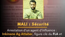 Crise au Sahel : Inkinane Ag Attaher, leader controversé du FLA, arrêté à la frontière nigérienne – Les enjeux géopolitiques dévoilés