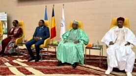 « 28ème Réunion Internationale sur le Ver de Guinée : Tout ce que Vous Devez Savoir pour Agir !”