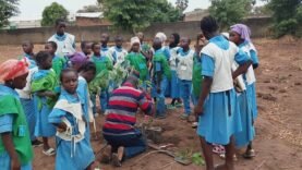 Renforcement des Compétences à l&rsquo;École Catholique Associée de Bébédjia : Tout sur la Formation en Pépinière que Vous Devez Connaître!
