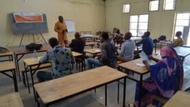 Optimisation des Pratiques Agricoles à N&rsquo;Djamena : Guide Essentiel pour les Producteurs Maraîchers d&rsquo;Aujourd&rsquo;hui