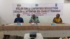 Maîtriser les Contentieux Électoraux : Formation Essentielle des Juges pour des Décisions Éclairées