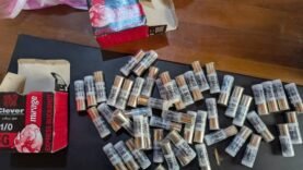 Saisie Record : 50 Munitions Retrouvées par la Douane dans le Nord – Ce Qui Change pour la Sécurité Locale !