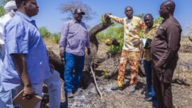 Tchad : Urgence écologique face à la déforestation alarmante sur le site pétrolier de Cécilia – Les enjeux révélés aujourd&rsquo;hui !