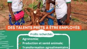 Révolution Verte au Tchad : Les Clés pour Booster l&rsquo;Agriculture et Élever les Jeunes Passionnés