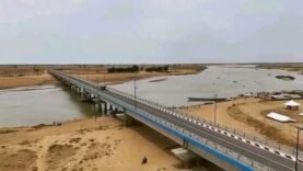 Inauguration du « Pont de l&rsquo;Amitié Tchad-Cameroun » : Une Nouvelle Ère de Collaboration Émergente – Ce que Vous Devez Savoir Aujourd&rsquo;hui