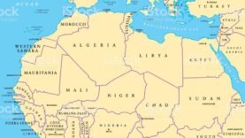Crise climatique : les conséquences dévastatrices du réchauffement sur la biodiversité mondiale : Tout ce que vous devez savoir maintenant