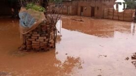 Logone Oriental : Déluge à Bodo – Impact et Mesures Urgentes à Connaître Aujourd&rsquo;hui