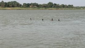 Drame au Logone Oriental : Deux Enfants Meurent Noyés au Village Bekor-Raga – Informations Essentielles du Jour