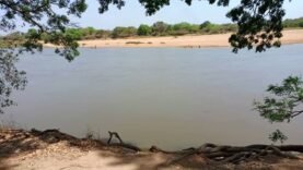 Découverte Macabre à Sarh : Un Corps Retrouvé dans le Fleuve Chari – Les Détails Essentiels du 23 Avril
