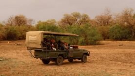 Éducation et Environnement : Des Élèves Explorent le Parc National de Zakouma – L&rsquo;Impact sur l&rsquo;Avenir du Tourisme Durable