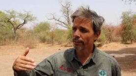 Interview exclusive : « Protéger la biodiversité – Pourquoi c&rsquo;est l&rsquo;affaire de tous », déclare Élodie Martin, experte en conservation : Les actions essentielles à entreprendre dès maintenant