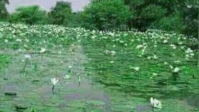 Lac-Fitri-ok.jpeg