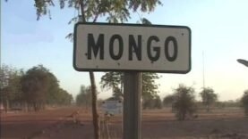 Tchad : Évasion Sanglante à la Prison de Mangou, Au Moins 4 Morts selon un Bilan Provisoire : Les Détails Essentiels du Jour