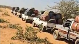 Tchad : Crise du Carburant et Explosion des Prix à l&rsquo;Est, Exacerbée par le Trafic vers le Soudan : Actualités Essentielles du Jour
