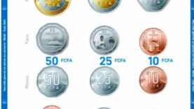 CEMAC : Découvrez la Nouvelle Émission de Pièces Monétaires, y Compris l’Inédite 200F FCFA : Informations Essentielles du Jour