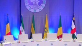 CEMAC : Le Cameroun et la Guinée Équatoriale Émergent comme Pilliers Économiques Régionaux en 2024 : Décryptage des Tendances Actuelles