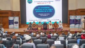 Consultation Citoyenne à N’Djamena : Participez pour Façonner l’Avenir de Votre Ville – Les Détails Essentiels