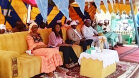 Lutte contre le paludisme au Tchad : Mobilisation nationale pour un futur sans malaria – Ce que vous devez savoir