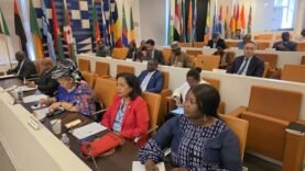 L&rsquo;Ambassadrice Kitoko Gata Ngoulou Brille lors de la Réunion du Corps Diplomatique Africain à Washington : Les Enjeux à Connaître Aujourd&rsquo;hui