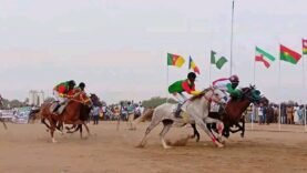 Grand Prix International Équestre à Maroua : Une Épopée Hippique qui Célèbre notre Héritage Culturel ! À Découvrir Absolument !