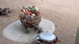 Célébration de l’Unité Culturelle : Le Peuple Mambaye du Cameroun et du Tchad se Réunit à Biparé – Tout Ce que Vous Devez Savoir !