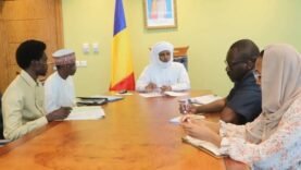 Démarches Simplifiées pour l&rsquo;État Civil et les Passeports : Infos Essentielles pour la Diaspora Tchadienne