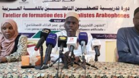 الصحافة في عصر الذكاء الاصطناعي: دورة تدريبية للاتحاد التشادي تعزز المهارات التحريرية الحديثة