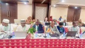 Agir pour l&rsquo;Avenir : Engagement Stratégique pour la Gestion Durable du Bassin du Niger