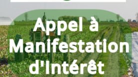 Recrutement d&rsquo;un Consultant Expert pour l&rsquo;Implémentation de la Plateforme Numérique RENFORT : Tout ce qu&rsquo;il Faut Savoir Maintenant !