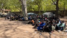Garoua : Raid Spectaculaire de la Sûreté Nationale au Cinéma Ribadou – Infos Essentielles à Ne Pas Manquer !