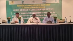 Tchad – Atelier de Validation Technique du Projet PINAMAC : Tout ce qu&rsquo;il faut retenir aujourd&rsquo;hui !