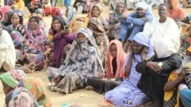Survivre à la Tempête : Comment un Pays Renforce sa Résilience face à une Crise Humanitaire Écrasante – Ce que Vous Devez Urgemment Savoir