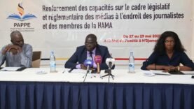 Le PAPPE Équipe les Médias : Comprendre le Cadre Législatif et Réglementaire pour un Journalisme Renforcé