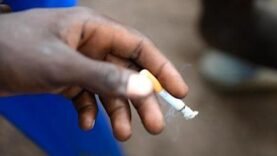 Journée internationale de l&rsquo;éducation : un collectif de professeurs prône une réforme urgente et inclusive au Sénégal : Découvrez les enjeux actuels