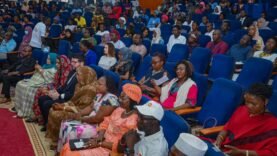 Lutte Contre les Violences Sexistes à N&rsquo;Djamena : Les Points Essentiels à Connaître Aujourd&rsquo;hui