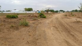 Salamat : Affrontement Sanguinaire – Bilan et Armes de Guerre Saisies : Tout ce que Vous Devez Savoir