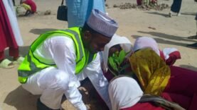 Environnement : Plus de 1 000 Arbres Plantés à l&rsquo;École Turque de N&rsquo;Djamena – Les Détails Essentiels