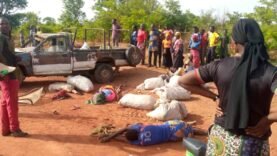 Logone Oriental : Bilan Tragique avec Deux Décès et Trente Blessés dans des Accidents à Bodo – Découvrez les Détails Cruciaux Aujourd&rsquo;hui
