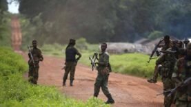 RCA : Affrontements Meurtriers au Sud-Est – Forces Armées vs Milice Locale : Les Détails Clés du Jour