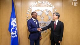 L&rsquo;Afrique du Sud Investit 500 Millions $ dans l&rsquo;Énergie Durable : Transformations Écologiques et Opportunités Économiques Décryptées