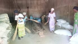 Moyen-Chari : Koumogo, un Modèle Innovant de l&rsquo;Empowerment Féminin pour Combattre la Pauvreté Rurale : Découvrez les Clés du Succès Aujourd&rsquo;hui