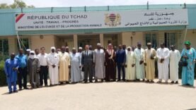 Tabaski 2025 : Tout ce que vous devez savoir sur les nouvelles mesures d&rsquo;abattage et le rôle proactif du ministère de l&rsquo;Élevage