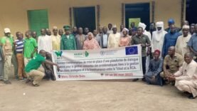 Tchad-RCA : Alliance Stratégique pour une Transhumance Durable et la Préservation du Bassin du Chari – Les Enjeux Actuels