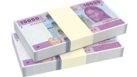 BEAC Dividendes 2024 : 100 Milliards FCFA à la CEMAC, Impact Économique Révélé Aujourd&rsquo;hui