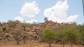Découvrez les Joyaux Cachés de la Nature : Explorez la Route Enchantée de Zakouma dès Aujourd&rsquo;hui
