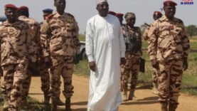 Le CEMGA Évalue le Projet Pilote de Culture de Riz en Contre-Saison de l’OGEMIP au Mayo-Kebbi Est : Découvrez les Enjeux et Perspectives !